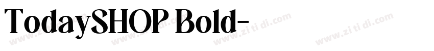 TodaySHOP Bold字体转换 TodaySHOP Bold字体转换